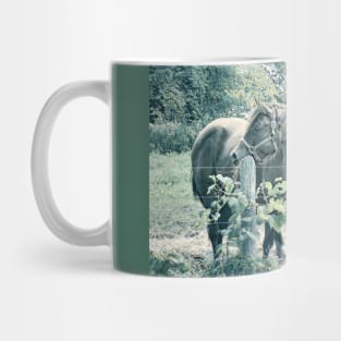 Two Horses 1C Mug